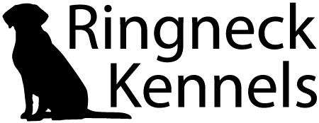 Ringneck Kennels Boarding, Training and Breeding
